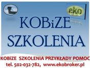 Kobize szkolenie, tel 502-032-782, Szkolenia z raportu Kobize, cennik