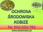 Kobize raport, tel 502-032-782, ceny, wprowadzenie raportu Kobize