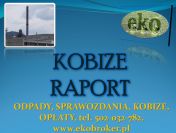 Kobize logowanie, raport dop kobize, tel 502-032-782, cennik