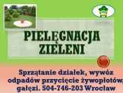 Posadzenie tui, tuje, sadzenie, tel 504-746-203, roślin,  tuji, cena