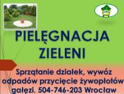 Posadzenie tui, tuje, sadzenie, tel 504-746-203, drzew,  tuji, cena