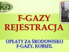 Fgazy obsługa, rejestracja dokumentacja, oferta, Wrocław