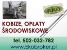 Rozliczenie opłat środowiskowych, raportu kobize,  cena, Wrocław