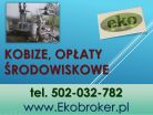 Raport do Kobize, sprawozdanie, cena Warszawa, tel 502-032-782