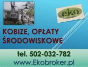 Raport do Kobize, sprawozdanie, cena Warszawa, tel 502-032-782