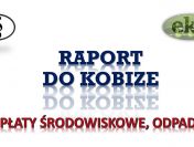 Założenie konta w bazie Kobize, cena tel. 502-032-782. Wykonanie raportu