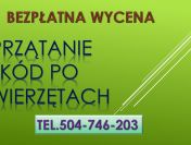 Zwalczanie kuny,tel. 504-746-203, zabezpieczenie domu, cena, Wrocław