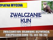 Zwalczanie kun, tel. 504-746-203, odławianie, zabezpieczenie domu.