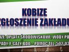 Raportowanie do Kobize, cennik tel. 502-032-782. Rejestracja, zgłoszenie