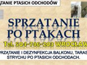 Oczyszczanie z odchodów gołębich, tel. 504-746-203, sprzątanie zabrudzeń