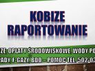 Wypełnienie raportu do Kobize, cena, tel. 504-746-203. Krok po kroku.